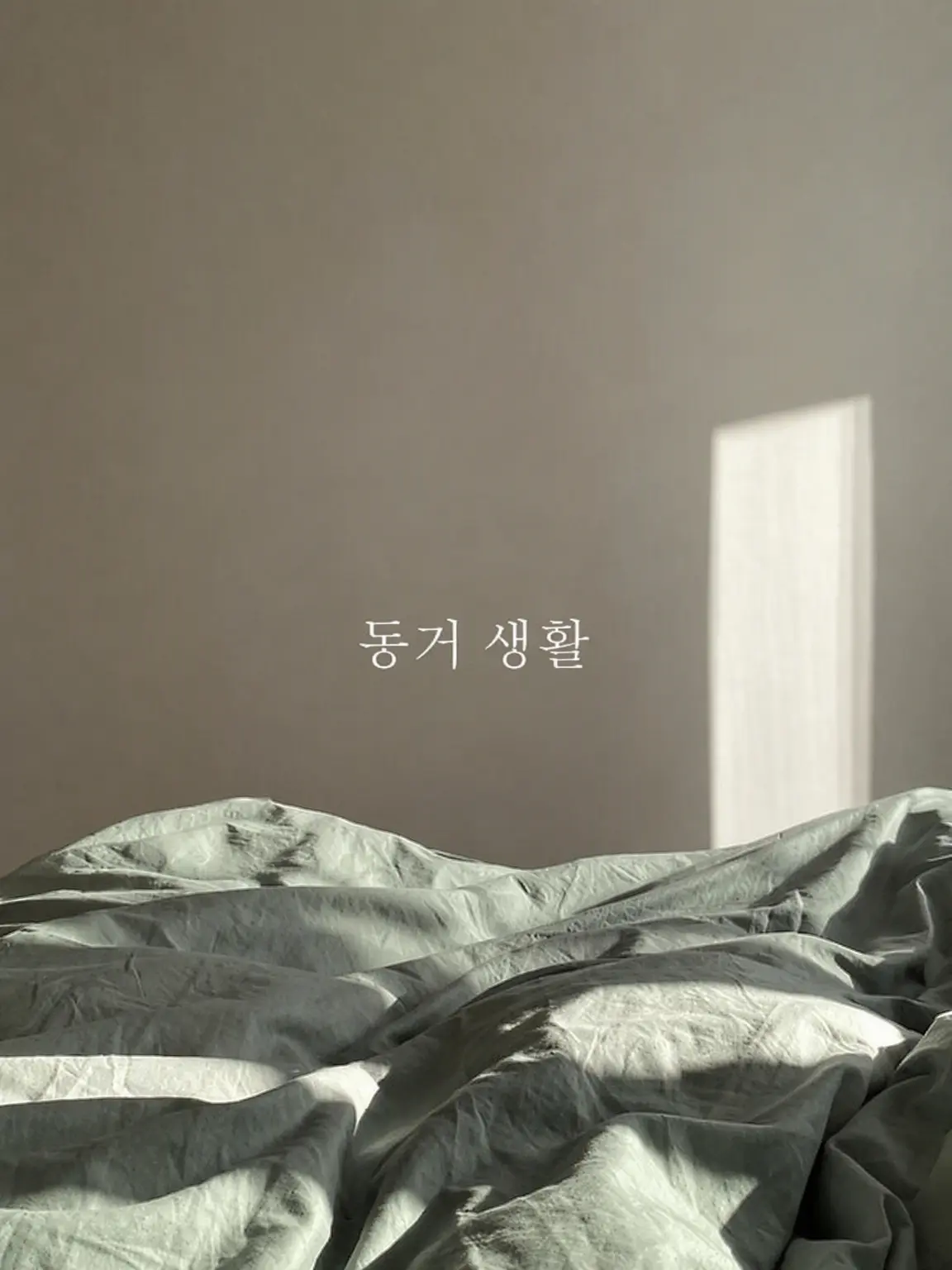macha4_7의 동거 생활