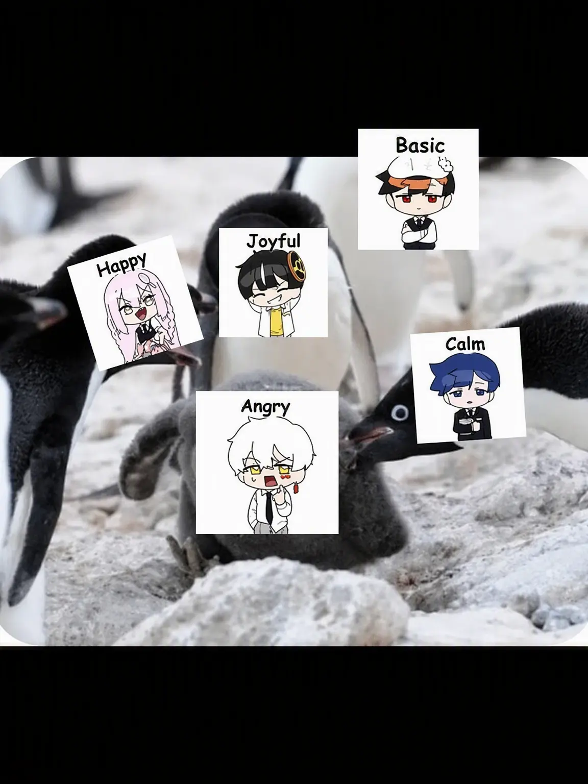 Hanna_11의 Whoa! They're Going on a Field Trip!