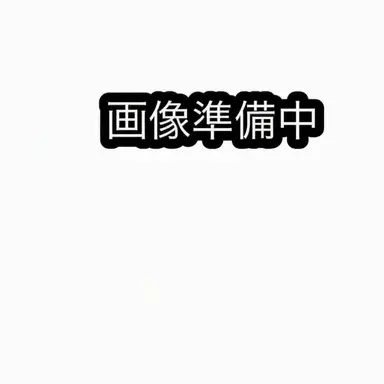 Profile image of 冨岡義勇