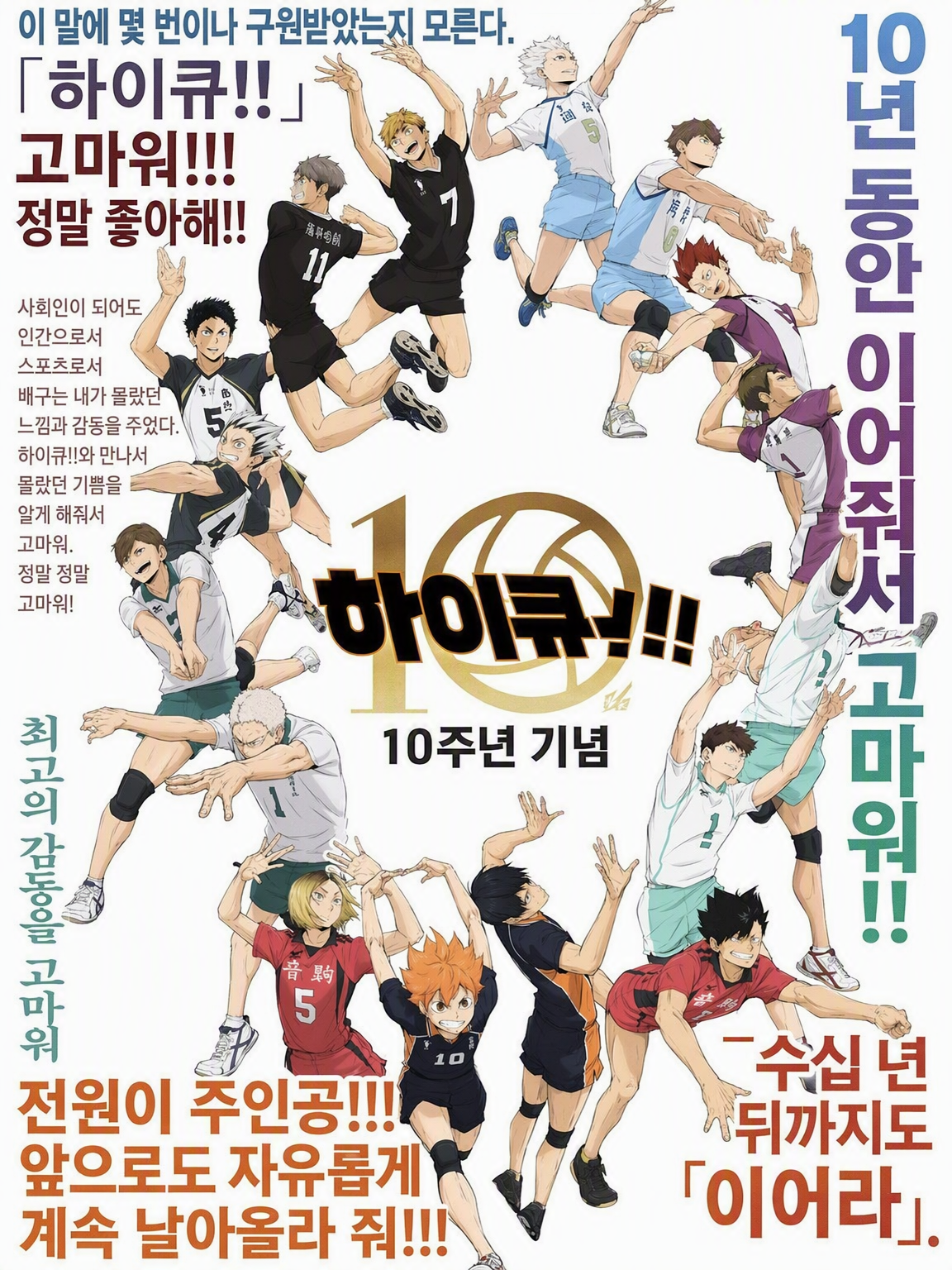 성인 버전 하이큐 대표 이미지