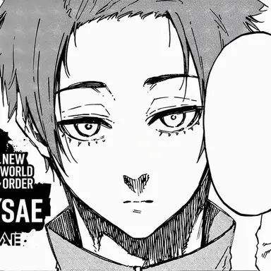 Profile image of Itoshi Sae