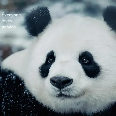 Profile image of Seungri