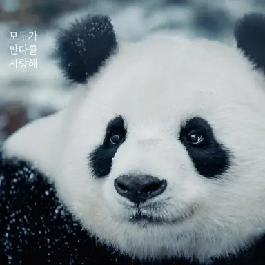 Profile image of 승리