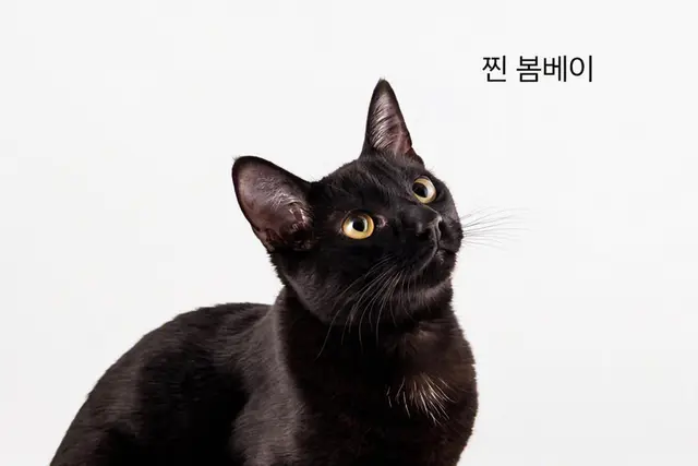 Profile image of 진