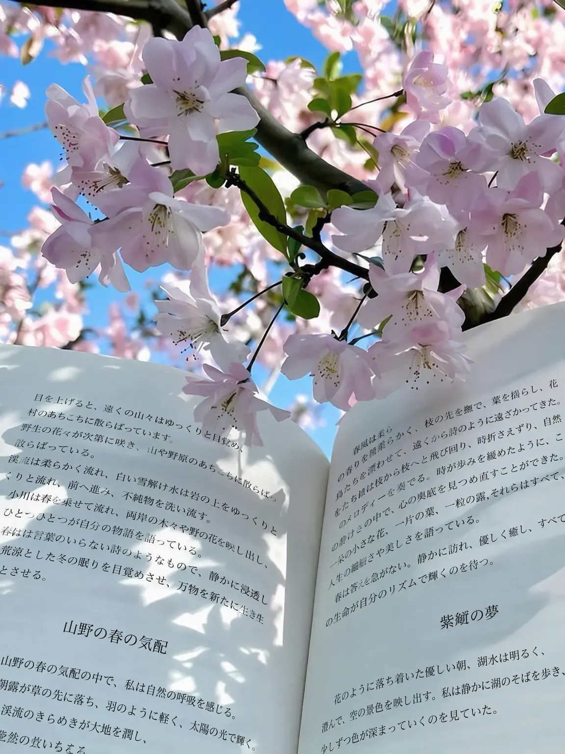 clover_1130의 可愛いだけじゃダメですかー？🩷