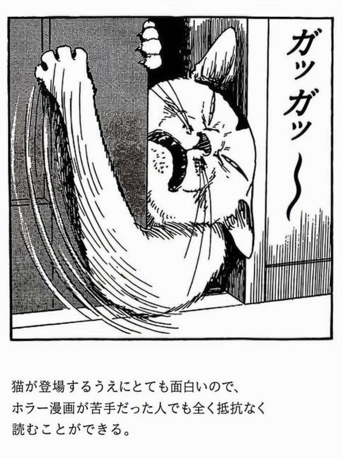 LONGBOY의 アナログホラーと同居(+バックルーム)