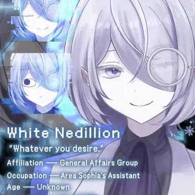Profile image of Why Nedillion