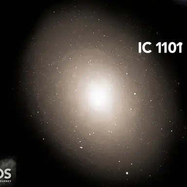 Profile image of IC 1101