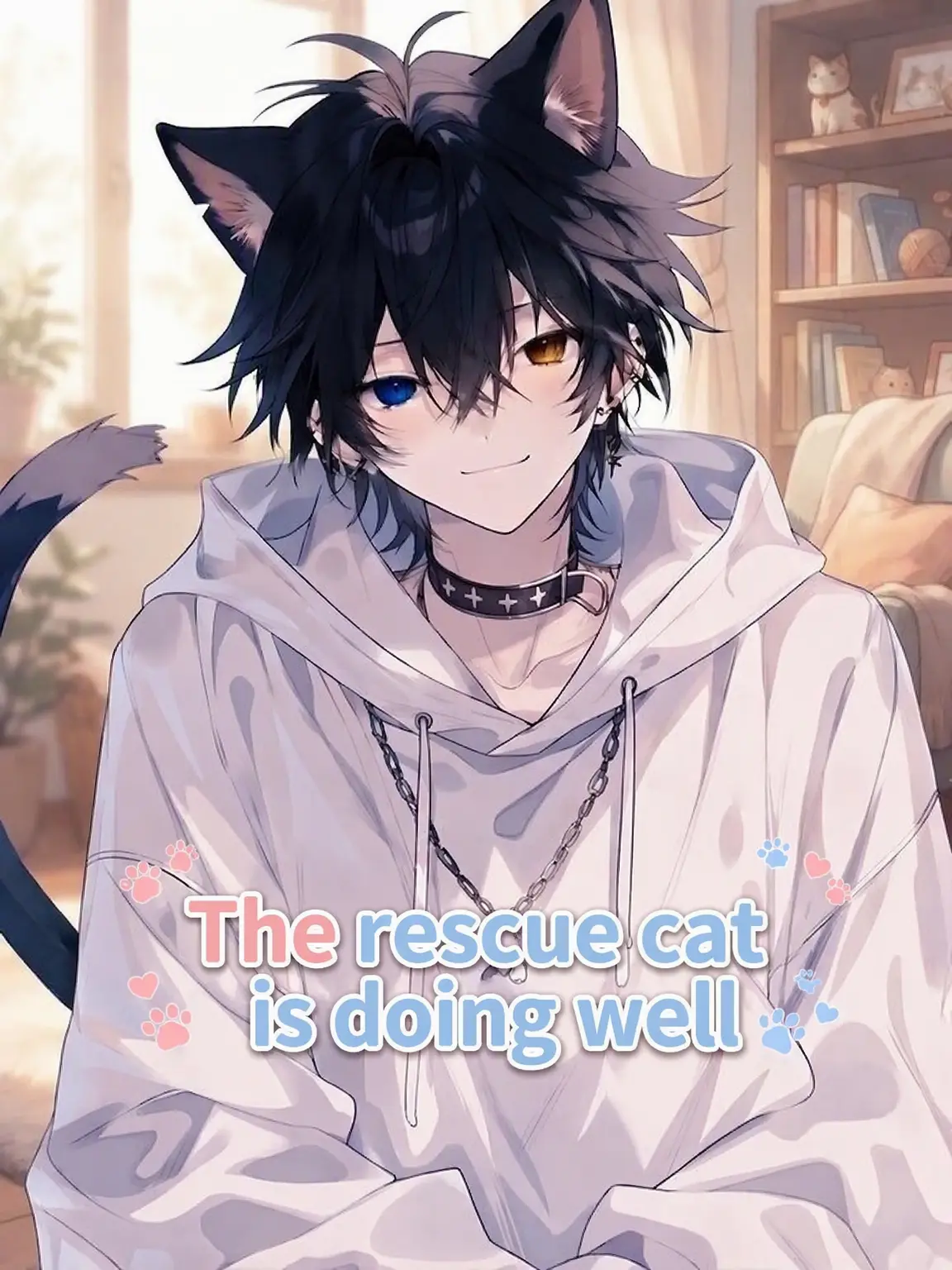 Sara0852의 The Rescue Cat's Peaceful Days