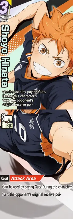 Profile image of Shoyo Hinata