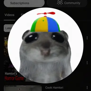 Profile image of Ham-tory
