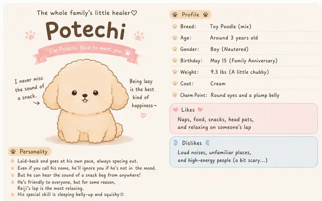 Profile image of Potechi