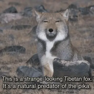 Profile image of Yeou