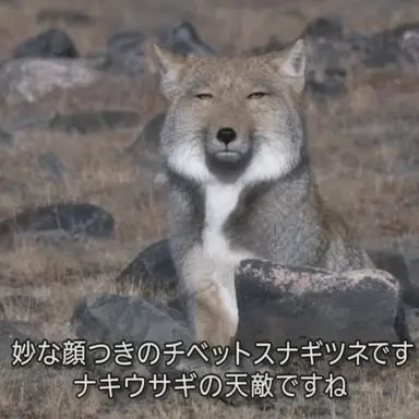 Profile image of ヨウ