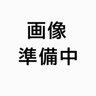 Profile image of アメリカ