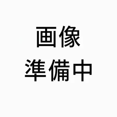 Profile image of 日本