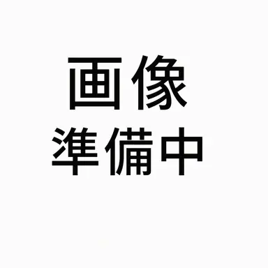Profile image of 北朝鮮
