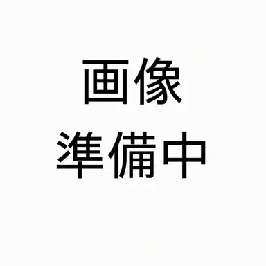 Profile image of イタリア