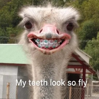 Profile image of Lee Jeongchan