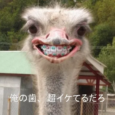 Profile image of イ_ジョンチャン