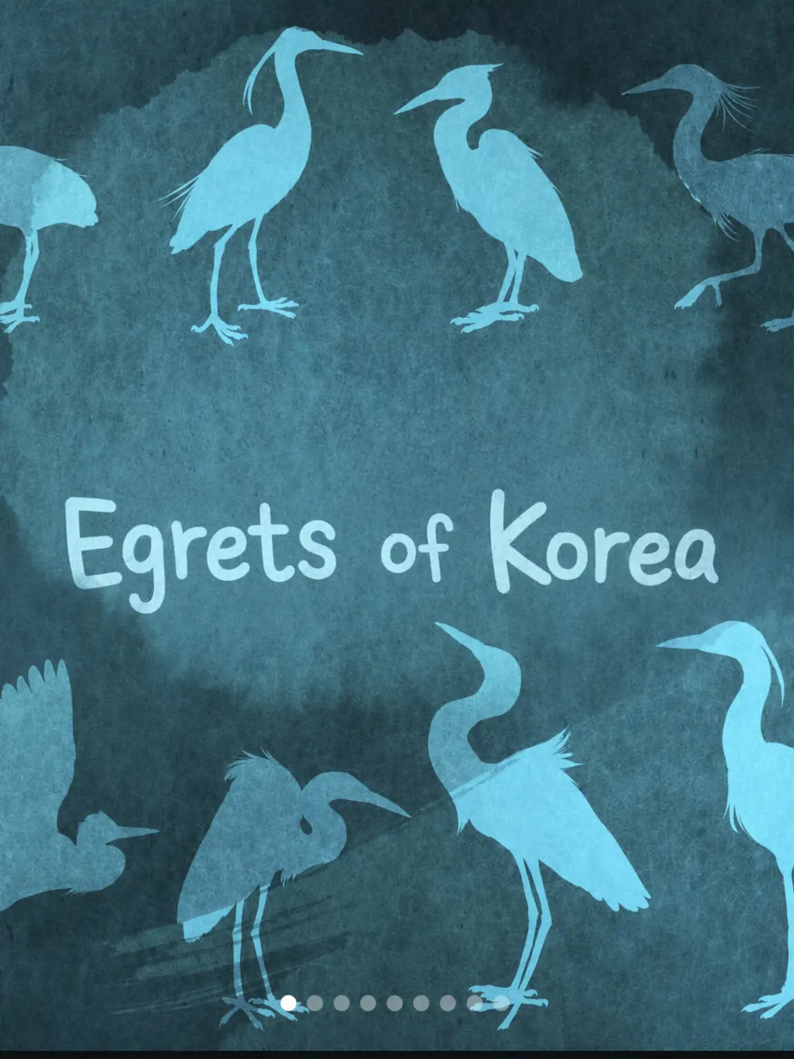 K-Greyheron의 Egrets of Korea