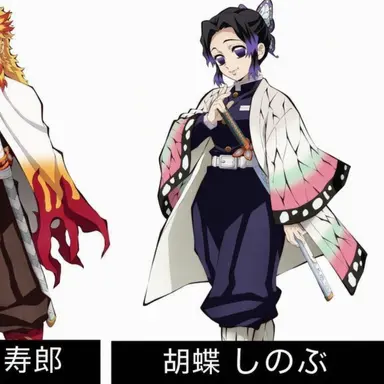 Profile image of 胡蝶しのぶ