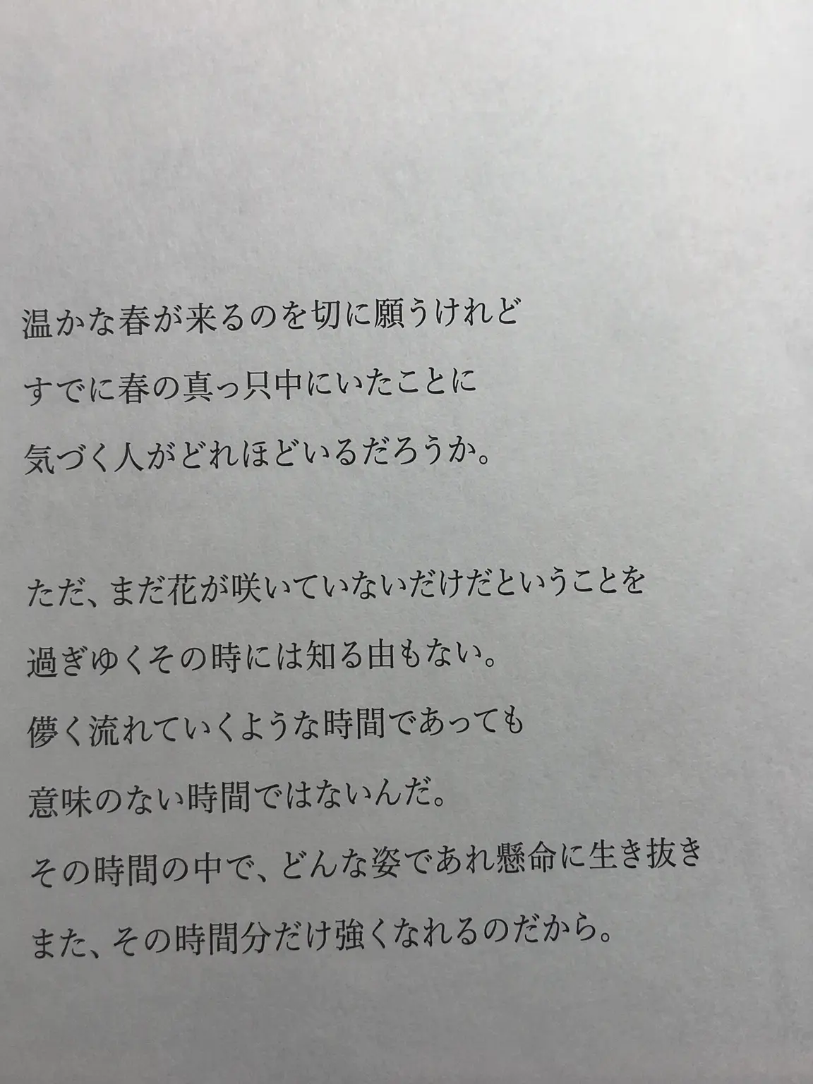 Shasca의 春