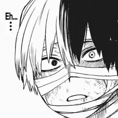 Profile image of Shoto Todoroki