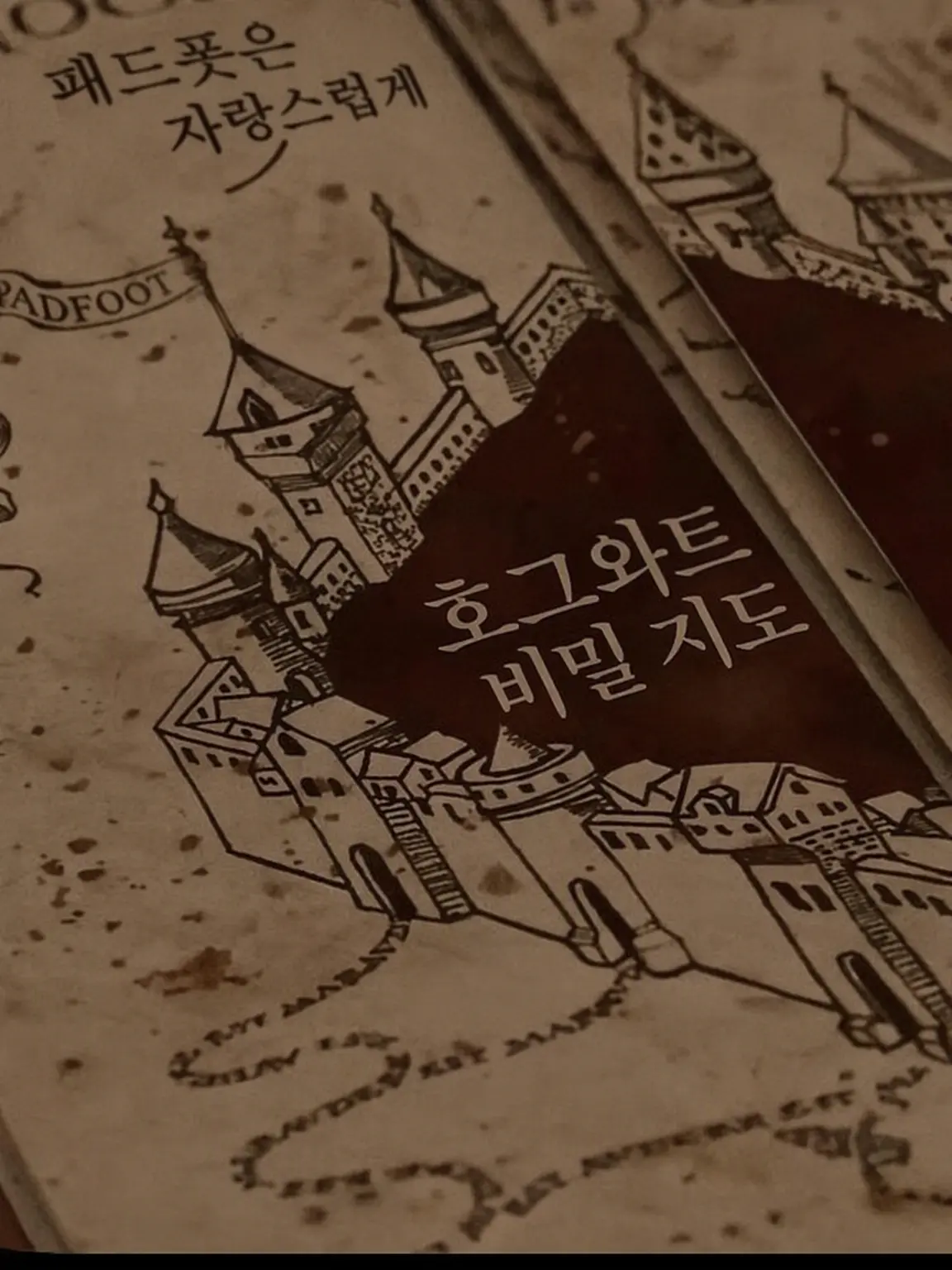 Whatdahmerlin의 루핀