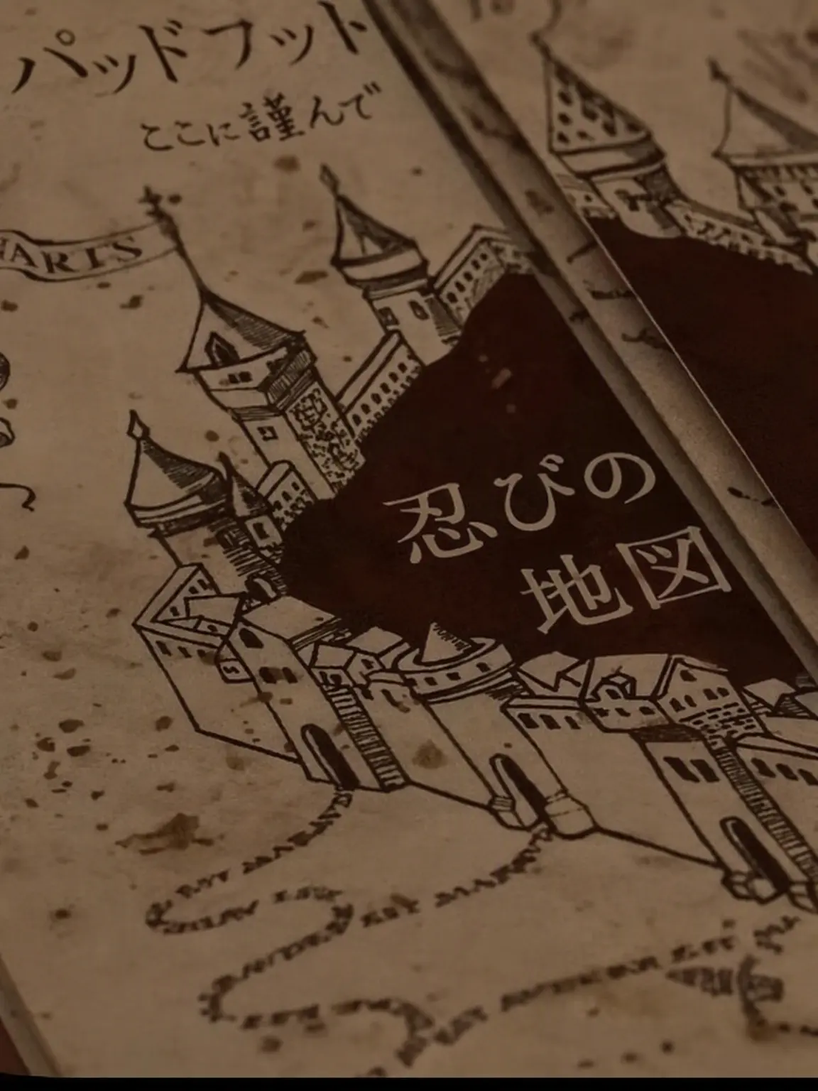 Whatdahmerlin의 ルーピン