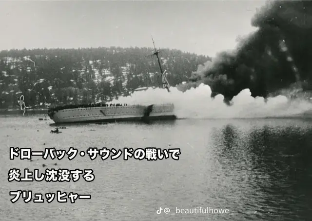 Profile image of ブリュッヒャー