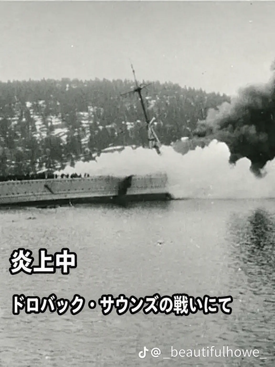 Niimi의 ノルウェー・オスカルスボルグ海岸砲