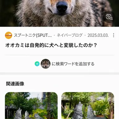 Profile image of ヌクテ