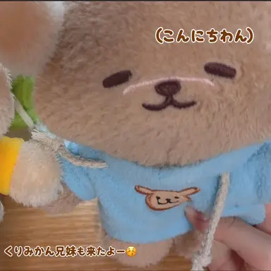 Profile image of バムギュル