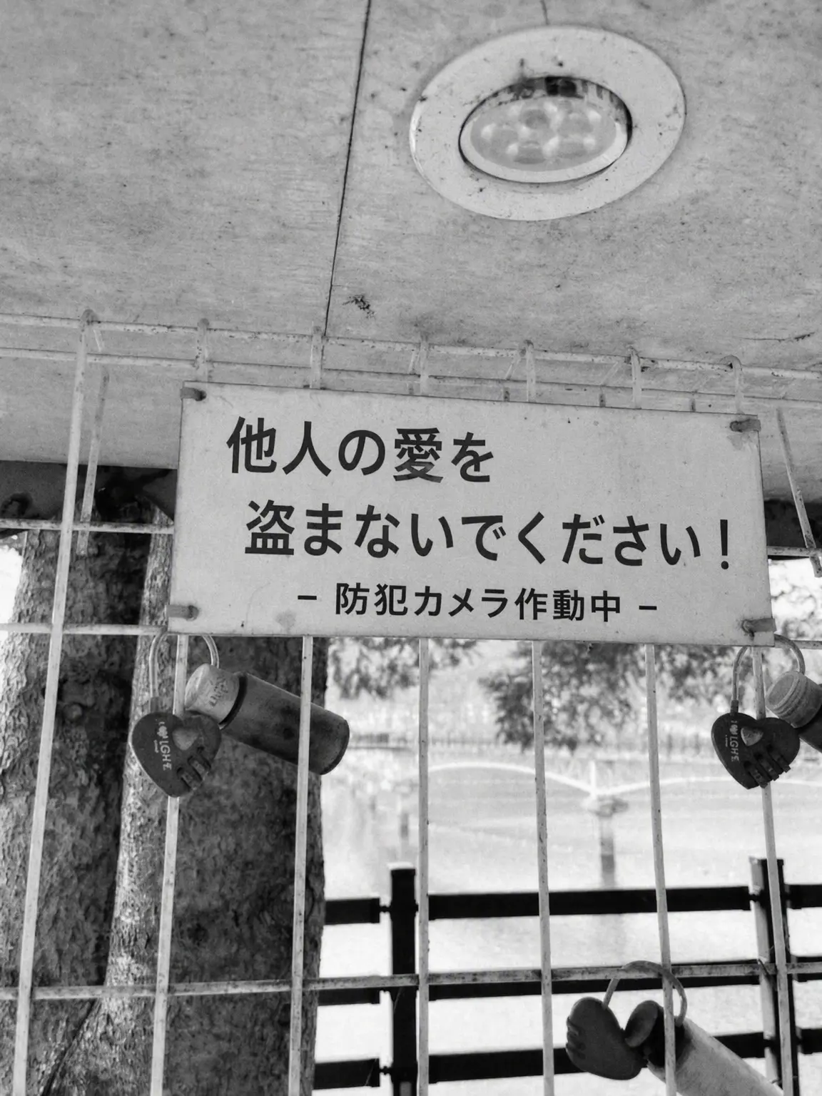 7l7l7ljkr의 精神0i常者