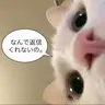 Profile image of スプランキー
