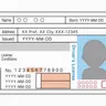 Profile image of The Absolute Permit