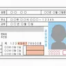 Profile image of 무제한 허가증