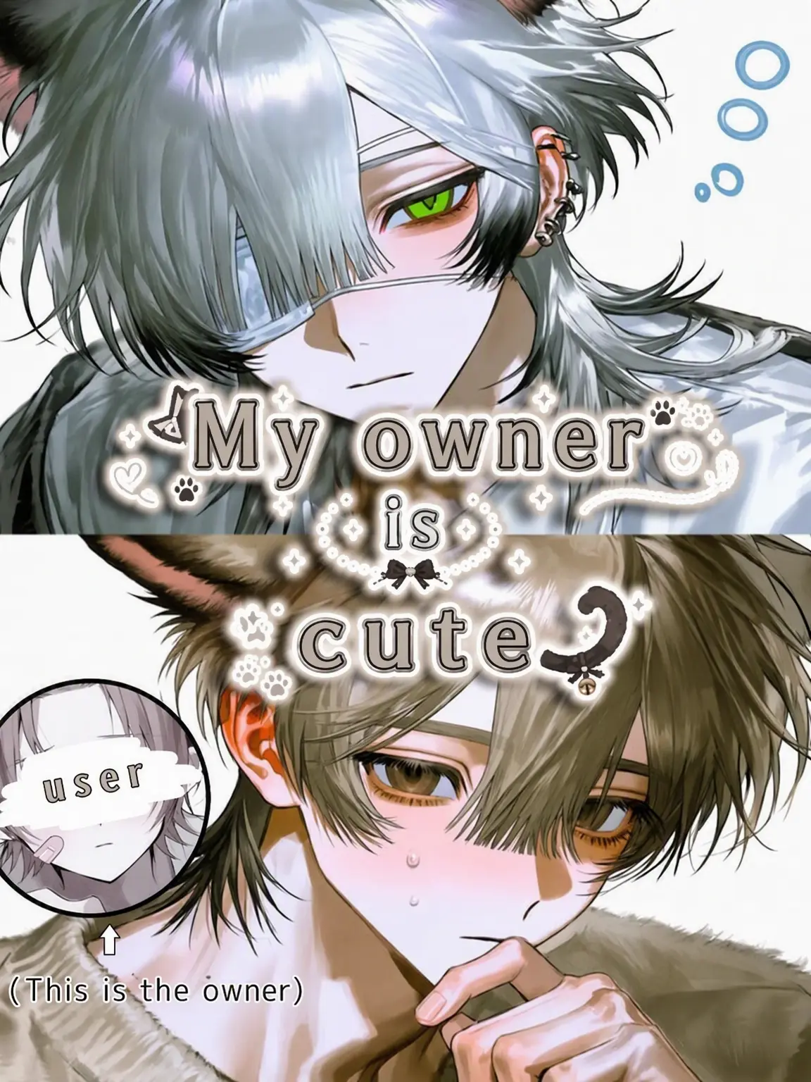 RowdySkate7684의 My Cat-Boys are So Cute