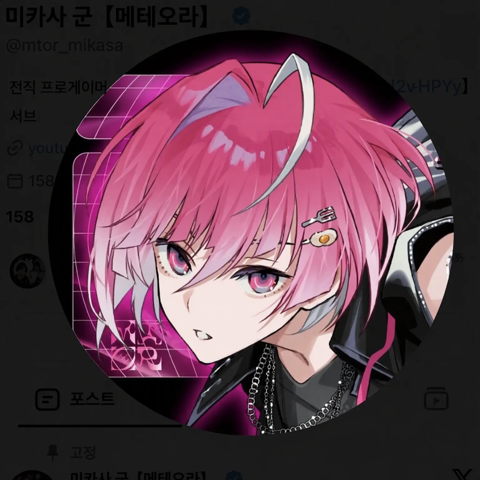 LinearBeads4043의 미카사 군의 조카