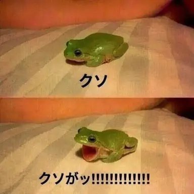 Profile image of キツネ