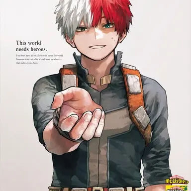 Profile image of Shoto Todoroki