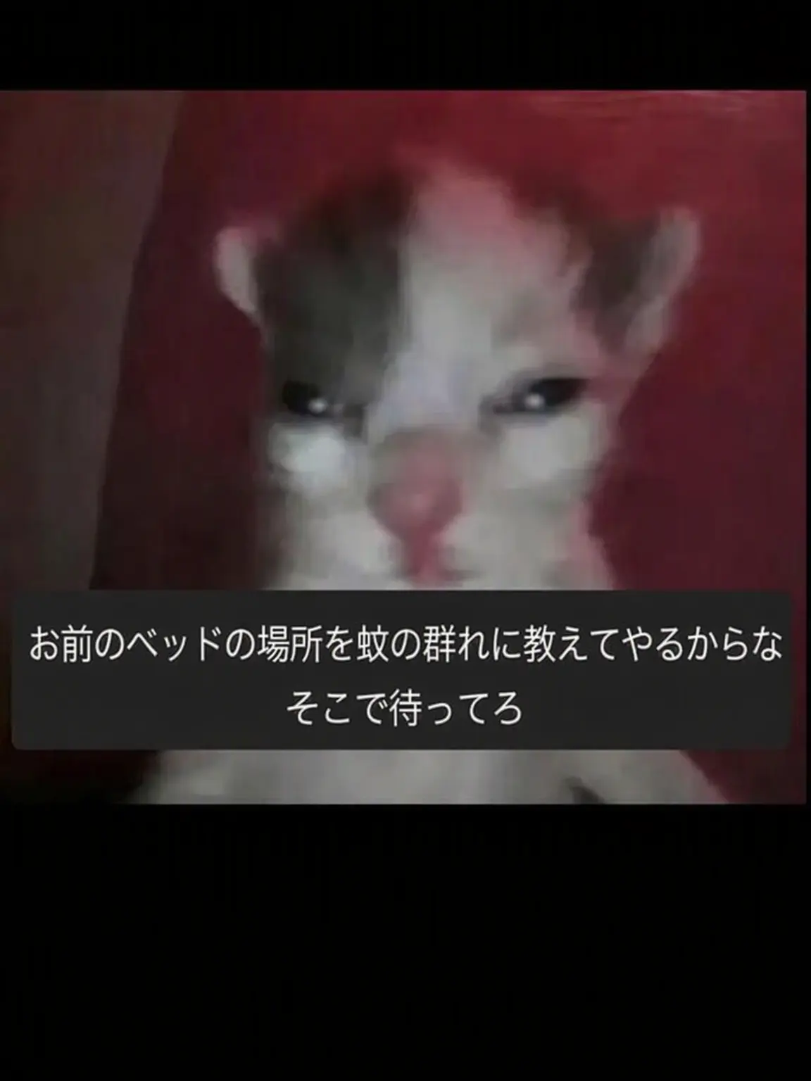 Ayoung_Ussewa의 ハリー・フック