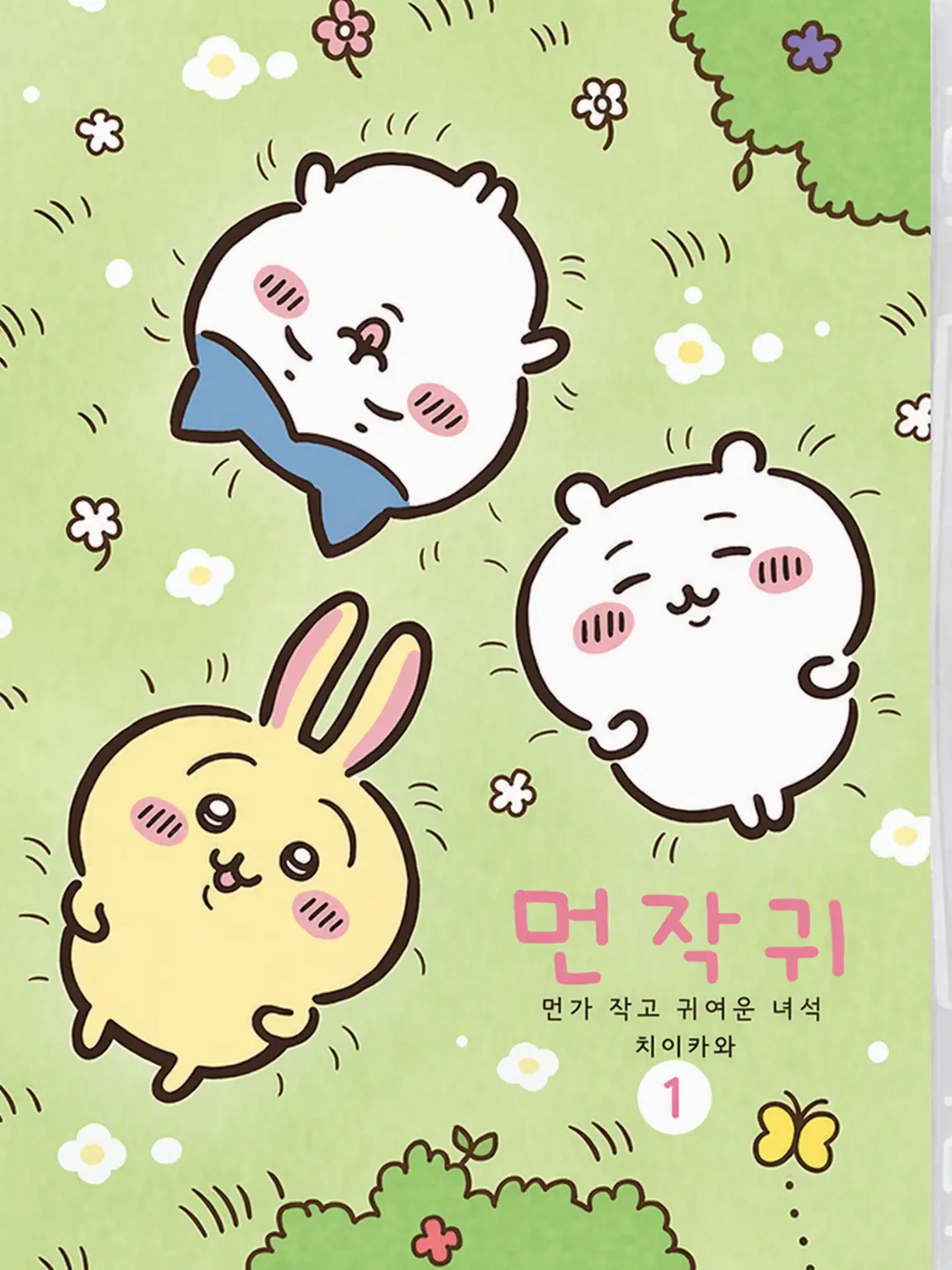 Vaaaaa.0101의 치이카와