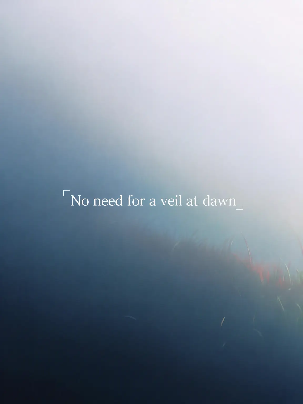 BigBoas6170의 No Veil Needed at Dawn