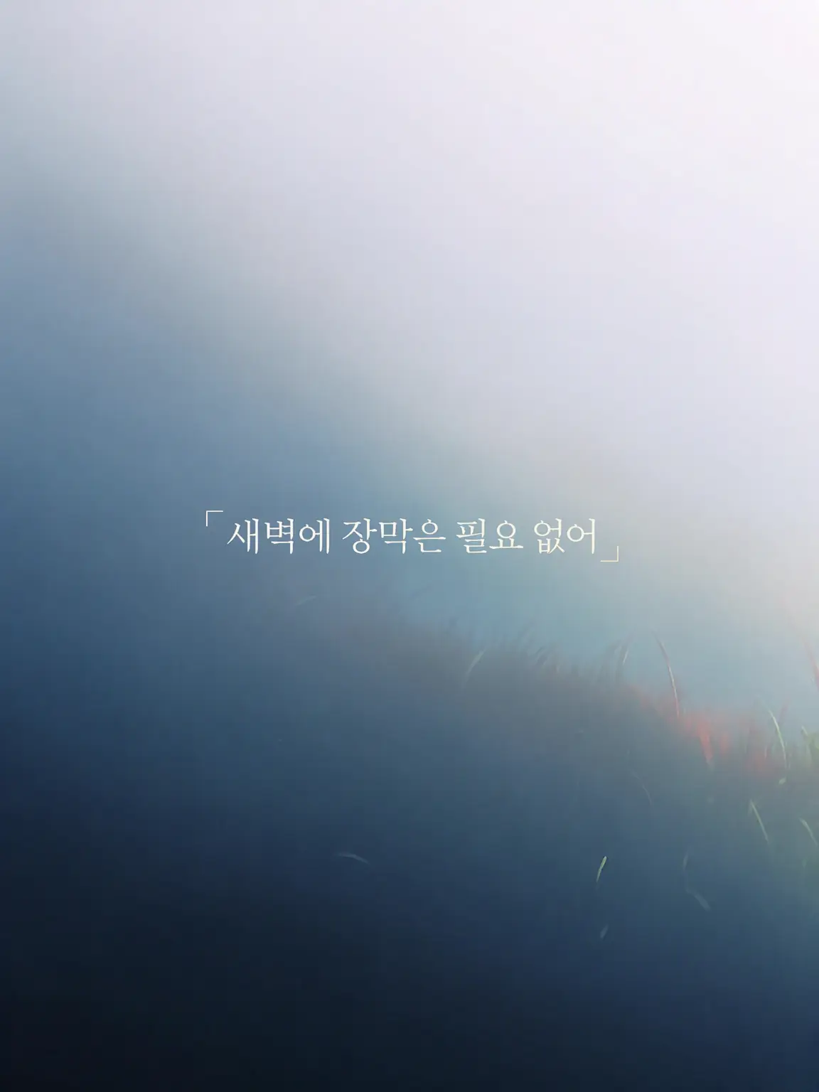 BigBoas6170의 새벽에 장막은 필요 없다.