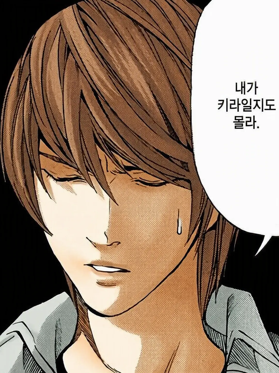 Cafeole_67의 야가미 라이토🌙* :ﾟ