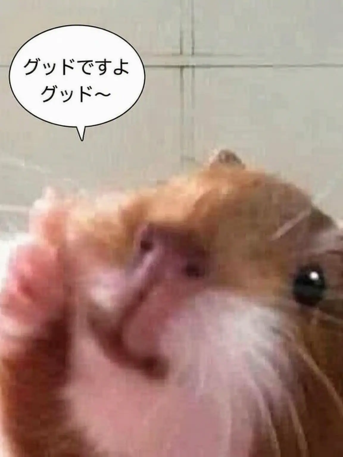 NANGMAN_love의 ロブロックス実況者学校