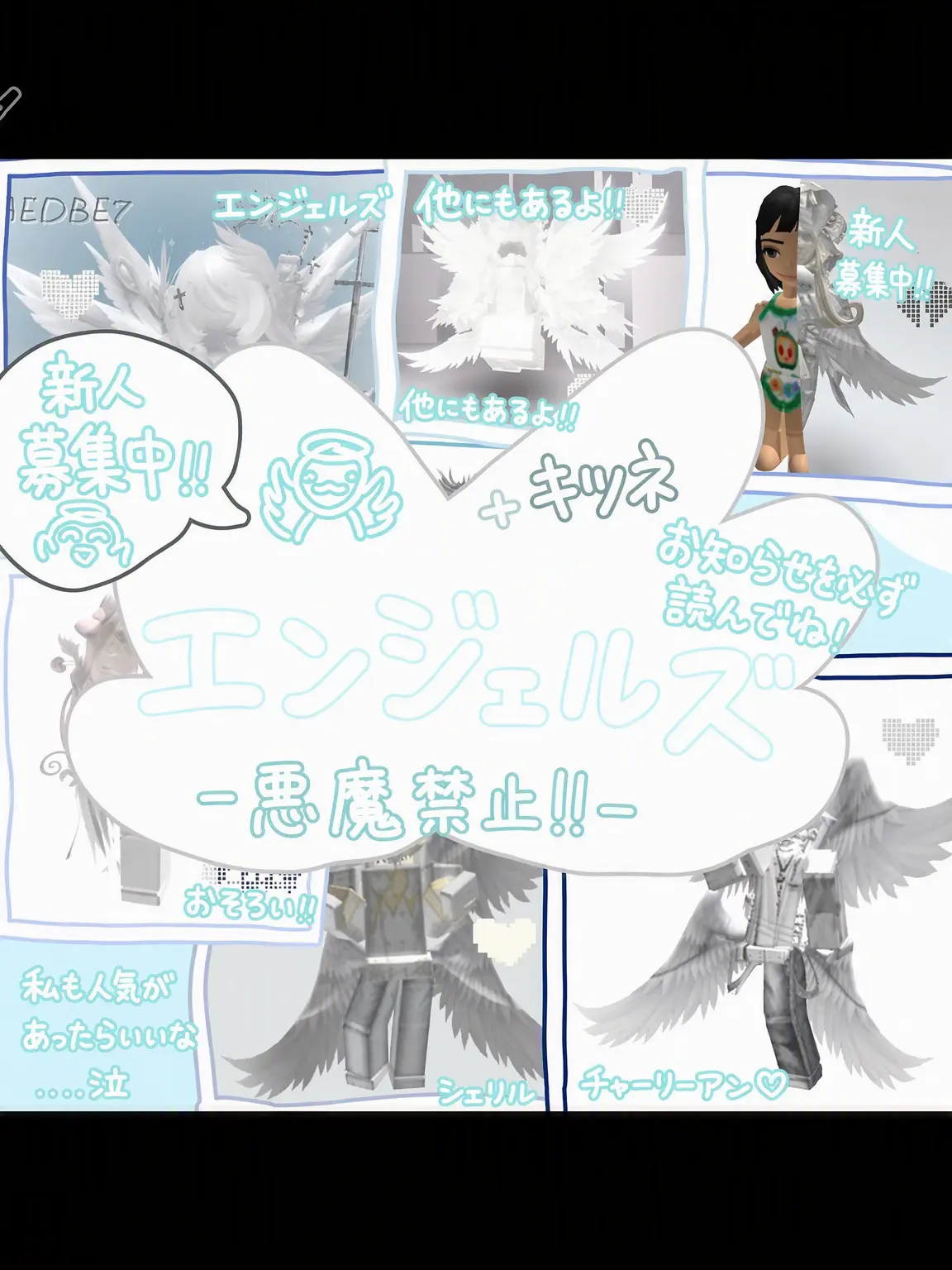 TimidKea1205의 -天使ズ-