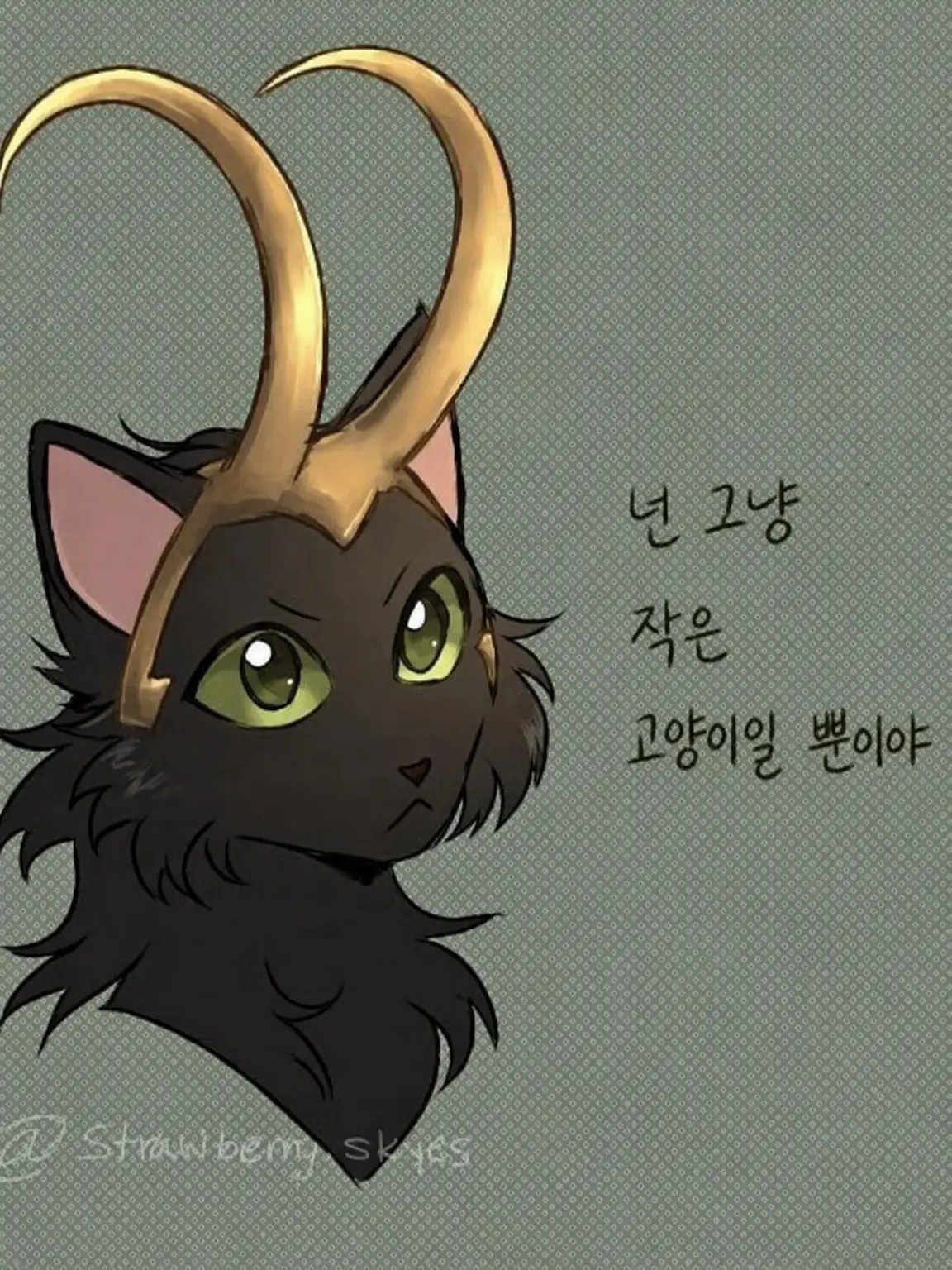 MereRifle3896의 고양이 로키